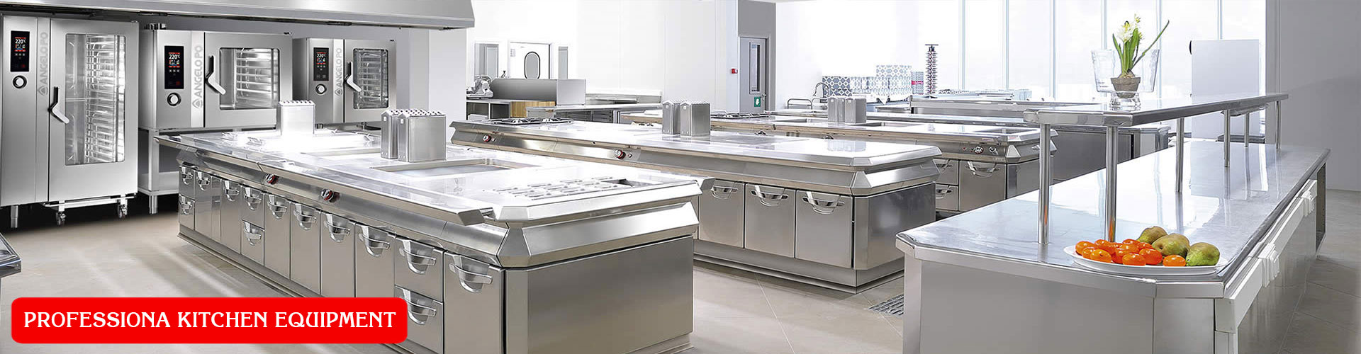 Professiona Kitchen Equipment